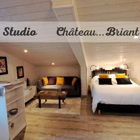 Studio-Centre Ville Châteaubriant Buitenkant foto